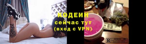 молекула духа Белокуриха