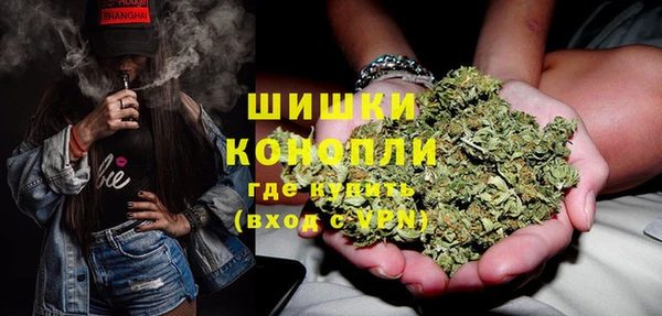 молекула духа Белокуриха