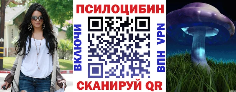 Купить  Кропоткин  Галлюциногенные грибы ЛСД 